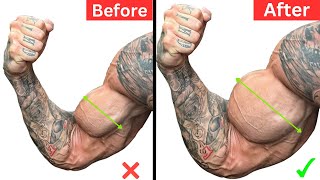 Easy and Effective Exercises for Wider Biceps Fast  Biceps [upl. by Hadrian]