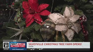 Silveyville Christmas Tree Farm 9am [upl. by Llevert16]