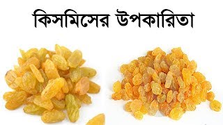 কিসমিসের উপকারিতা  Kismis er Upokarita  Benefits of Raisin  Important Tips ft Amader Rannaghor [upl. by Gavette71]