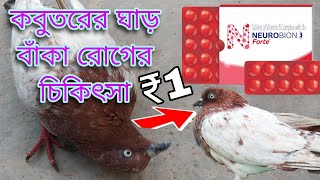 কবুতরের টাল বা ঘাড় বাঁকা রোগের চিকিৎসা। ঔষধের💊 নাম Neuroblon forte  Pigeon treatment [upl. by Monjo]