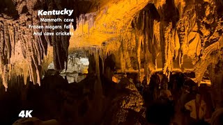 Kentucky frozen Niagara falls cave crickets in Mammoth Cave and final destination [upl. by Lyrehs]