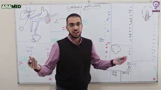 الكبد 3  التشمع CIRRHOSIS [upl. by Nielson]