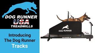 Introducing the Dog Runner Tracks dog treadmill [upl. by Kristianson]