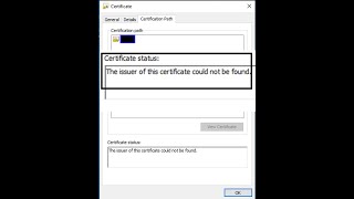 SSL certificate not trusted even after importing CA cert to trusted root store in Windows machine [upl. by Gasser]