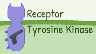 Receptor Tyrosine Kinase  MAPK Pathway [upl. by Nickerson]