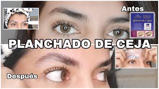 Como hacer un planchado de cejas paso a paso J Denis 🏠✨  planchadodecejas laminado cejas [upl. by Kimberlyn719]