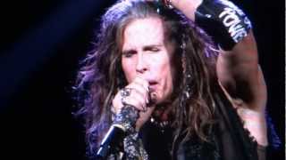 WHAT IT TAKES  AEROSMITH  LIVE FORT LAUDERDALE 2012 [upl. by Ynattirb]