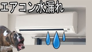 エアコンから水が出てくる水が漏れる時の修理方法（色々な修理方法の紹介）エアコン クーラー水漏れ [upl. by Cooperman]