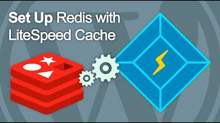 How to set up Redis with LiteSpeed Cache [upl. by Yllil]