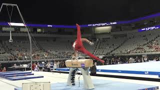 Taylor Burkhart  Pommel Horse  2024 Xfinity US Championships  Senior Men Day 2 [upl. by Sharma993]