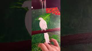 Painting a macaw music nature [upl. by Consalve131]