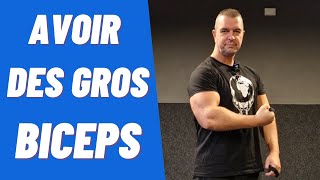 Comment avoir des gros Biceps  Intensité  Congestion [upl. by Mclyman]