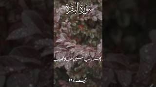 QURAN PAK Urdu tarjuma ♥️qurantranslationromanurdu youtubeshorts qurantranslationhd [upl. by Janette]