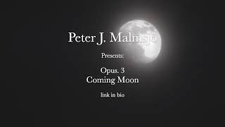 Peter J Malmsjö  Coming Moon Piano Music Relaxing Music [upl. by Sashenka]