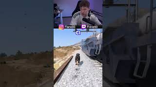 Animali Vs Treno su Gta 5 [upl. by Lira32]