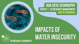 Impacts of Water Insecurity AQA GCSE Geography  Water 3 [upl. by Leifeste]