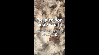 Transformation de la laine de la toison brute au fil [upl. by Sally]