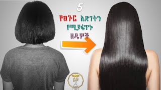 5 ፀጉርን በፍጥነት ማሳደጊያ መንገዶች How to grow hair fast in amharic leyu 10 Ethiopia [upl. by Arissa]