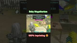 BABY MEGATHERIUM FULL IMPRINTING  ARK MOBILE  arksurvivalevolved arkmobile mythicxgaming ark [upl. by Keyes]