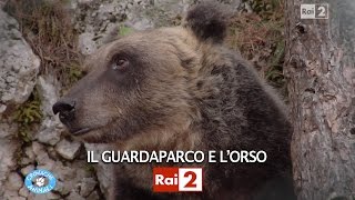 IL GUARDAPARCO E LORSO [upl. by Aihsik]