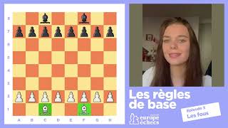 Les règles des échecs  leçon 3  le fou [upl. by Weibel]