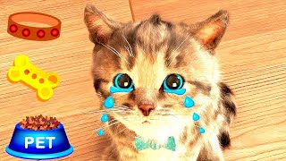 Little Kitten Adventure Fun Pet Kitten Care Kids Games  Fun Kids Learning Games [upl. by Annovahs]