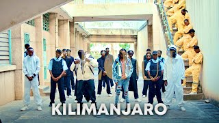 Dogo Janja amp Loui  Kilimanjaro Official Music Video [upl. by Oderf857]