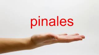 How to Pronounce pinales  American English [upl. by Adiasteb]