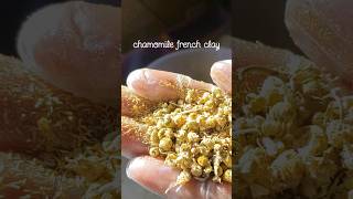 Making cold process soap w shea butter chamomile french clay sheabuttersoap coldprocesssoap [upl. by Corly]