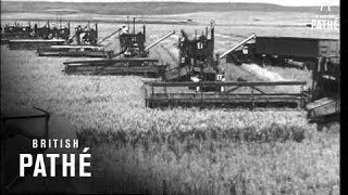 Wheat Harvest USA 1947 [upl. by Anu]