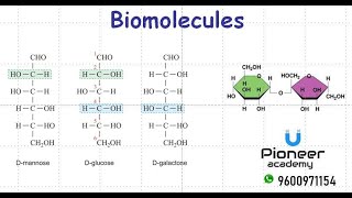 NEET Chemistry  Biomolecules  Carbohydrates [upl. by Nahsrad35]