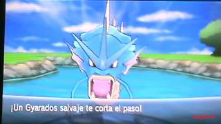 Pokemon X Capturando Gyarados rojo shiny [upl. by Ahtiek199]