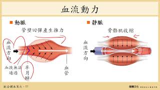 108選生三 21 循環系統3血管與血壓 [upl. by Algy408]