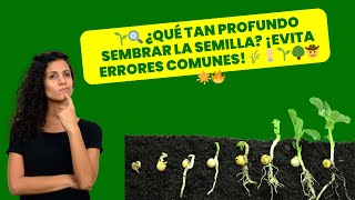 🌱🔍 ¿Qué Tan Profundo sembrar la Semilla ¡Evita Errores Comunes 🌾💡🌱🌳🤠🌟🔥 [upl. by Rema]