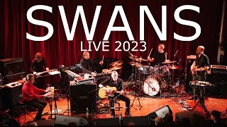 Swans  The Beggar live  Kinoteatr Rialto Katowice 2023 [upl. by Prentice490]