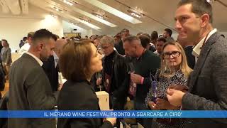 IL MERANO WINE FESTIVAL PRONTO A SBARCARE A CIRO [upl. by Ynar]