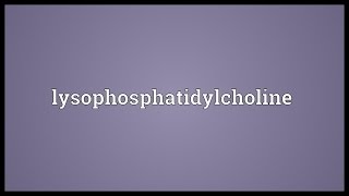 Lysophosphatidylcholine Meaning [upl. by Ahtikal576]