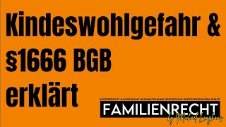 Kindeswohlgefahr und §1666 BGB erklärt von Michael Langhans [upl. by Thgiwd76]