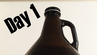 Beer Growler vs Time How Long Does a Growler Last  Day 17 [upl. by Leaper]