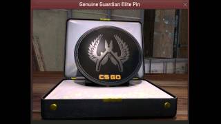 Genuine Guardian Elite Pin CSGO [upl. by Kenlay]