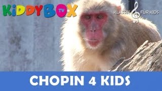 Mozart Bach Chopin  Klassik für Kinder  Mich laust der Affe KIDDYBOXTV [upl. by Krys348]