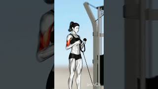 Full body workout shortsviral [upl. by Ellynad98]