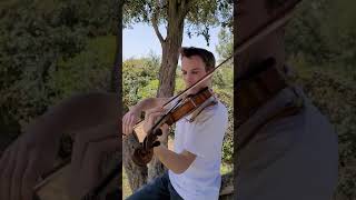 Jerusalema by Master KG  Israel Gatterer Magical Violin cover [upl. by Haldeman]