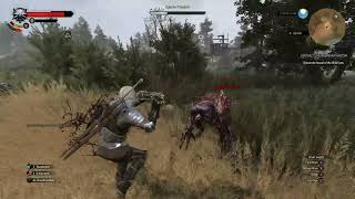 Killing Apiarian Phantom The Hound of the Wild Hunt witcher3 [upl. by Chalmer]