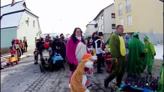 Faschingsumzug 2013 Burgau [upl. by Atinna]