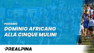 Podismo  Dominio africano alla 92ª Cinque Mulini  17112024 [upl. by Sezen889]