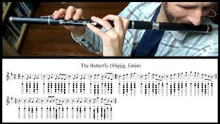 Tuto Irish Flute  The Butterfly Slipjig Emin [upl. by Krenek175]