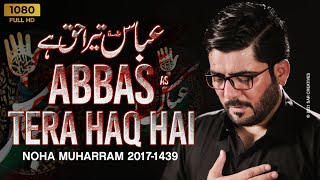 Abbasas Tera Haq Hai  Mir Hasan Mir  New Noha 2017 1439 HD [upl. by Derinna746]