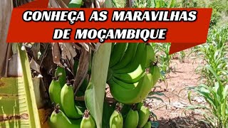 As maravilhas de Moçambique  Distrito de Macate [upl. by Necaj]