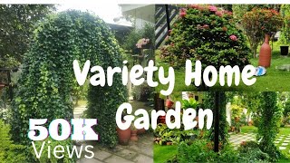 Home Garden tour Malayalam  Indoor and outdoor plants ll Auto Garden [upl. by Lonnard]